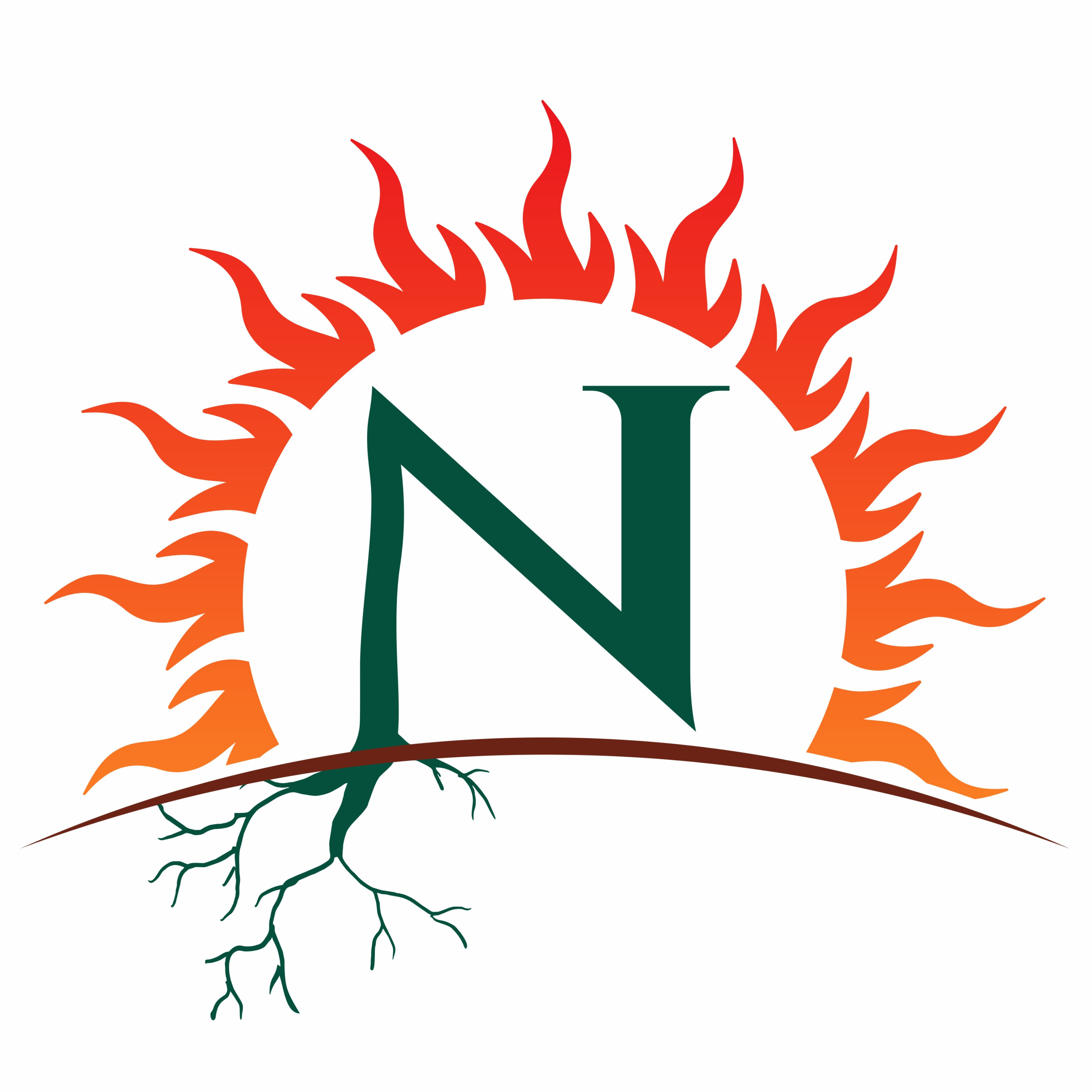 NageshCare Logo